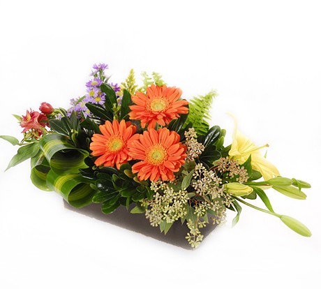 La Fleur Floreria - Envio el mismo dia: Pequeño jardín : arreglos de  gerberas, lilis, astromerias - Envio de flores el mismo dia