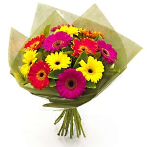 Ramo de 12 Gerberas