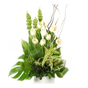 Arreglo  selva de tulipanes