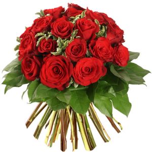 Rosas Rojas